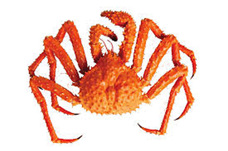 King Crab Golden King Crab Golden