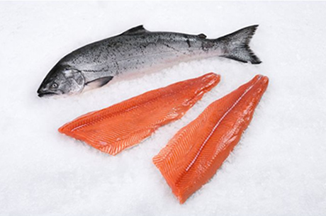 King Salmon King Salmon