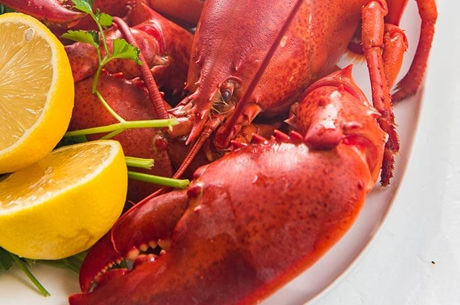 North Atlantic Lobster North Atlantic Lobster