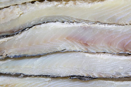 Pacific Cod Pacific Cod