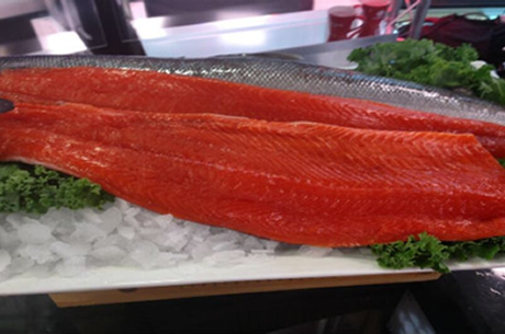 Red Salmon Red Salmon