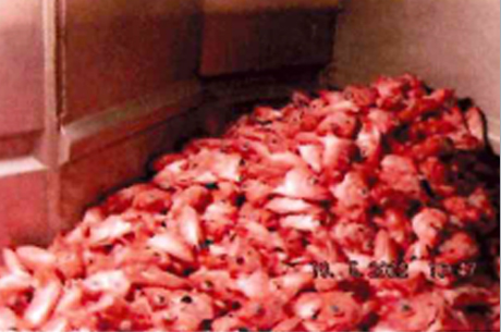 Frozen redfish mentella heads-img1 Frozen redfish mentella heads-img1