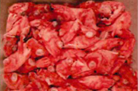 Frozen redfish mentella heads-img2 Frozen redfish mentella heads-img2