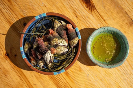 Pink Swimming Scallops Shell sheet-img3 Pink Swimming Scallops Shell sheet-img3