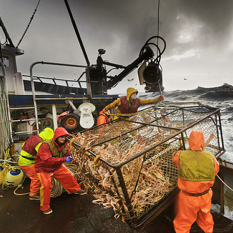 a-passion-for-seafood